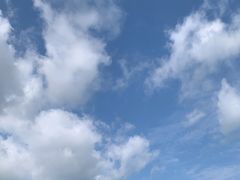 -黑龙江扎龙生态旅游区