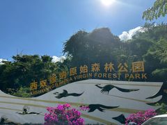 -西双版纳原始森林公园