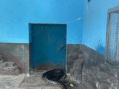 -宁波野生动物园