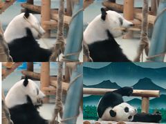 -柳州市动物园