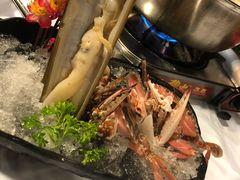 竹蛏王-鲜入围煮花胶鸡海鲜火锅
