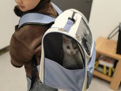 -瑞派名望志远动物医院·猫科·內科·异宠专科(直港大道店)