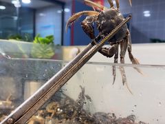 -金滏山烤肉·海鲜·火锅自助餐厅(襄阳万达店)
