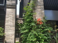 -回龙窝历史文化街区