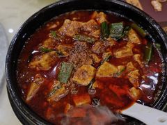 -陈麻婆豆腐总店