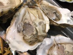 生蚝-瑞杰烧烤店·24小时营业(山东路店)