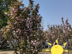 -长白岛森林公园