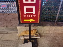 -汤山一号温泉度假区