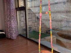 -北京美神宫艺术主题温泉酒店