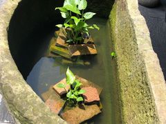 -广信传说