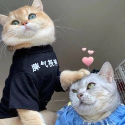 -MOE BEAUTY.皮肤管理中心