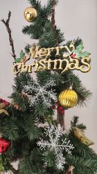 -无界瑜伽普拉提