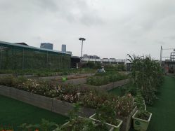-可可天空农场(东部新城银泰店)