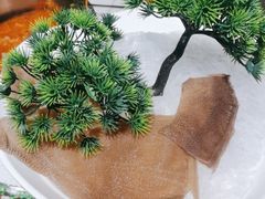-大龙燚火锅
