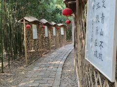 -同里国家湿地公园