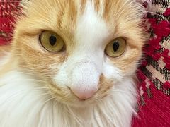 -氷冰凉刨冰甜品(北京路店)