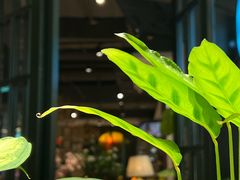-芭提雅PHO THAI(美美1店)