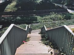 -深圳大学(丽湖校区)