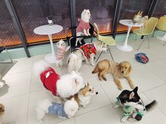 -怪兽屋·羊驼·猫咖·狗咖(俊华广场店)