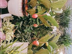 -双季花艺园艺市场(浦东店)