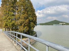 -上海月湖雕塑公园
