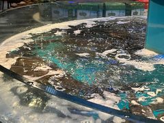 -魏铭鱼头捞饭(晋阳路店)