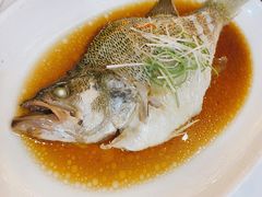 清蒸鲈鱼-黑鸡小馆(金源店)