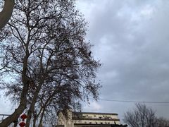 -LELECHA乐乐茶(新街口大洋店)