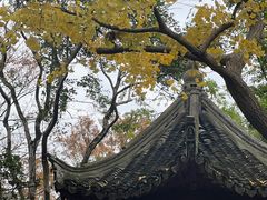 -秋霞圃