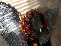 -福禧酒窖·中餐厅 (万柳店)