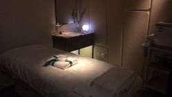 -玛莲朵·海菲秀冰珀科