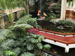 -广州白天鹅宾馆