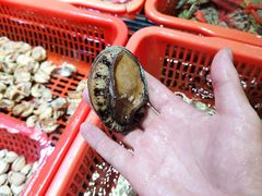 -巽寮印象美食部落餐厅·海鲜·地方特色菜(惠州体验店)