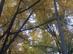 -四川大学(华西校区)