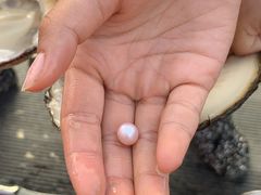 -宝龙广场(蓬莱区)