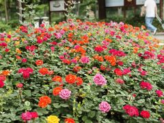 -新南门(地铁站)