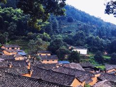 -杨家堂村