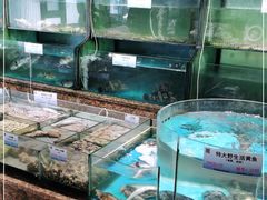 水产区-宏运厨房·海鲜青岛菜·生日宴(城市阳台店)
