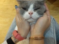 -万小咖.猫咖(中山路天虹店)
