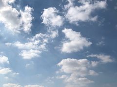 -舟山希尔顿酒店