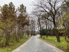 -秦始皇帝陵博物院-丽山园
