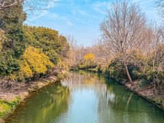 -西溪国家湿地公园