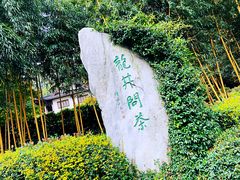 -十八棵（老龙井）御茶园(老龙井店)