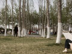 -汉长安城未央宫国家考古遗址公园