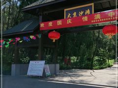 -大京沙滩