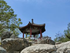 -莲花池公园