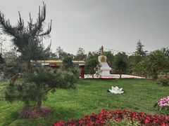 -东平国家森林公园