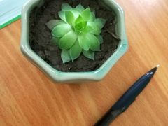 -那些花儿鲜花店(小寨店)