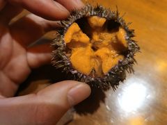 海胆-和彩放题餐厅(酒仙桥店)