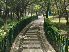 -西安市长乐公园